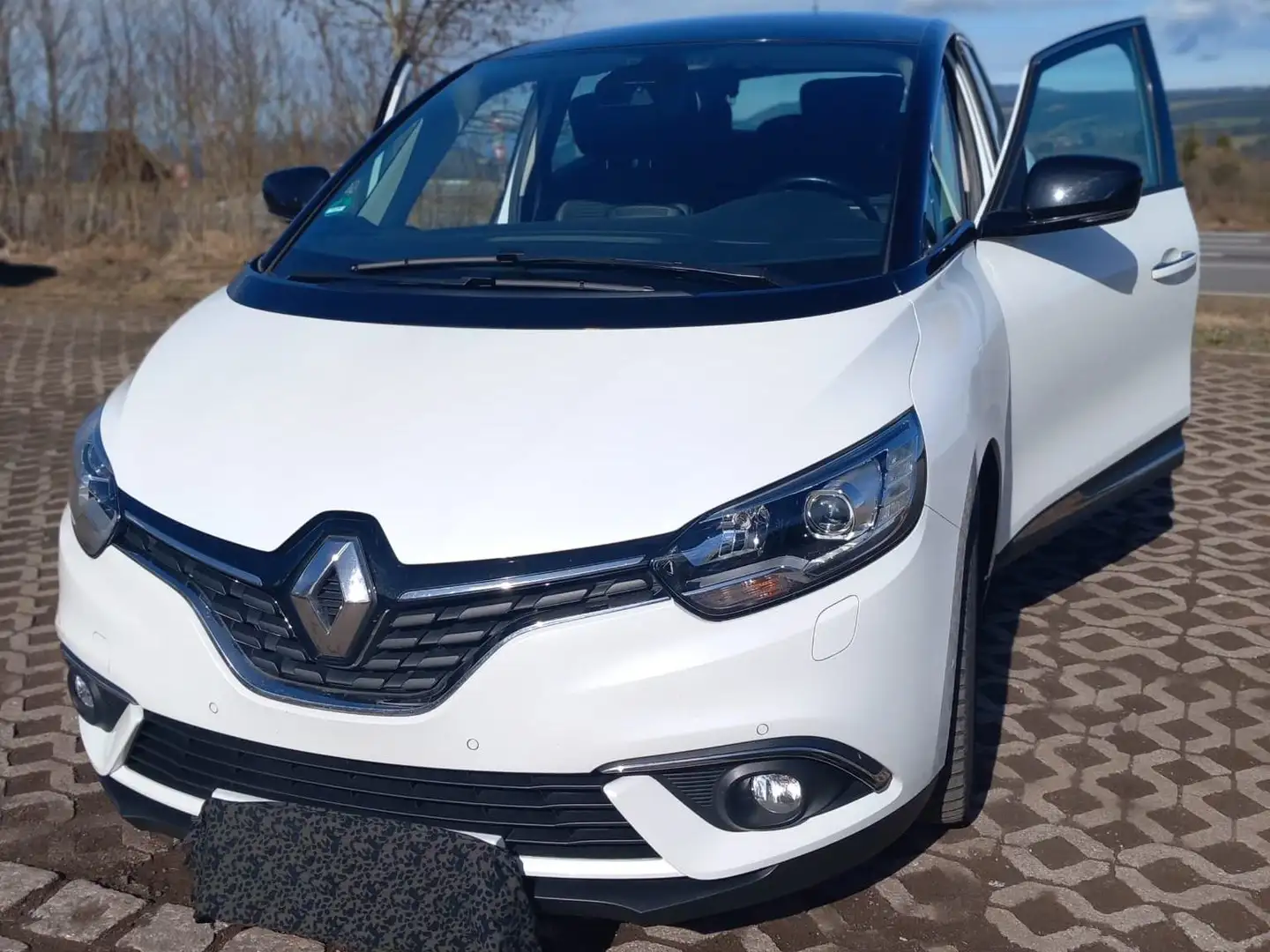Renault Scenic Scenic 2.0 16V RXi Weiß - 2