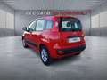 Fiat Panda Panda 1.2 Lounge s&s 69cv my19 Rosso - thumbnail 6