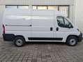 Fiat Ducato Fiat Ducato 3.3to 120PS Klima PDC L2H2 2,2ltr. Weiß - thumbnail 9