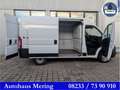 Fiat Ducato Fiat Ducato 3.3to 120PS Klima PDC L2H2 2,2ltr. Weiß - thumbnail 3