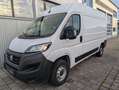 Fiat Ducato Fiat Ducato 3.3to 120PS Klima PDC L2H2 2,2ltr. Weiß - thumbnail 7