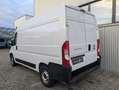 Fiat Ducato Fiat Ducato 3.3to 120PS Klima PDC L2H2 2,2ltr. Weiß - thumbnail 4