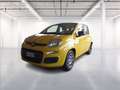 Fiat Panda 1.0 firefly hybrid s&s 70cv Jaune - thumbnail 5