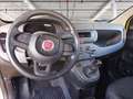 Fiat Panda 1.0 firefly hybrid s&s 70cv Jaune - thumbnail 10