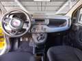 Fiat Panda 1.0 firefly hybrid s&s 70cv Jaune - thumbnail 11