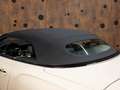 Bentley Continental GTC *MANSORY*Carbon*Blackline*B&O* Blanc - thumbnail 30