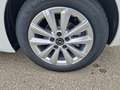 Opel Astra 1,2 Turbo Edition Bianco - thumbnail 7