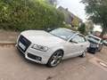 Audi A5 2.7 TDI DPF multitronic - thumbnail 1
