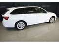 Skoda Octavia Selection Blanc - thumbnail 20
