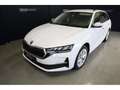 Skoda Octavia Selection Blanc - thumbnail 16