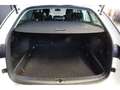 Skoda Octavia Selection Blanc - thumbnail 7