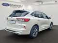 Ford Kuga Plug-In Hybrid ST-Line X 2.5 Duratec -PHEV EU6d HU Weiß - thumbnail 2
