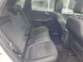 Ford Kuga Plug-In Hybrid ST-Line X 2.5 Duratec -PHEV EU6d HU Weiß - thumbnail 12