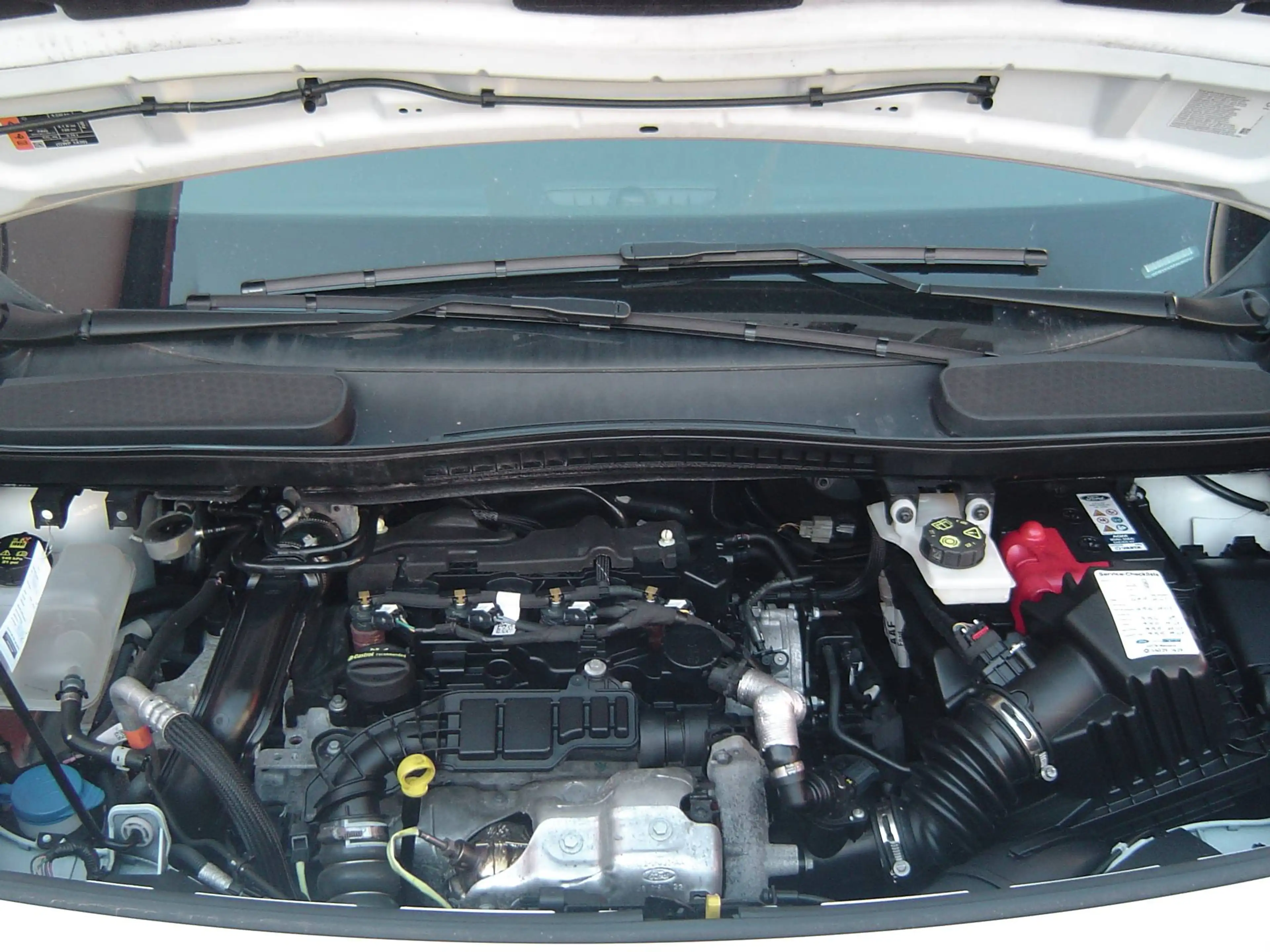 Ford Transit Connect Kombi Trend 230L1 LKW — photo 15