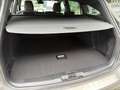 Ford Focus 1.0 Active Mhev155pk M6 Elektrische kofferklep & - thumbnail 8