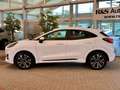 Ford Puma ST-Line Design+Automatik+AHK+Kamera+BILS Blanc - thumbnail 5