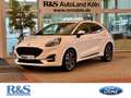 Ford Puma ST-Line Design+Automatik+AHK+Kamera+BILS Blanc - thumbnail 1