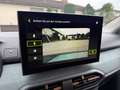 Dacia Jogger Extreme Hybrid 155 Automatik 360° Kamera Grün - thumbnail 11