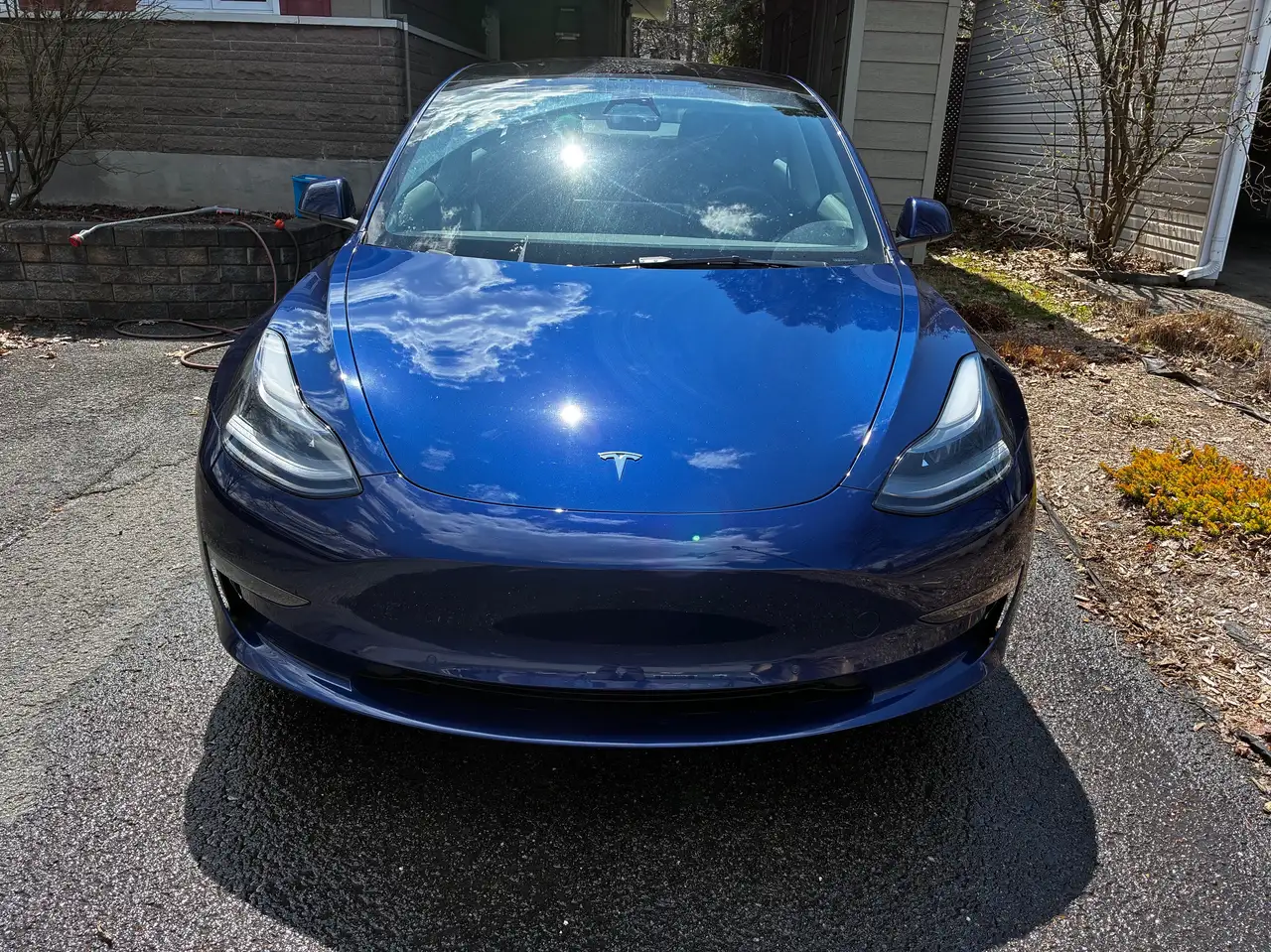 Tesla Model 3 photo Tesla Model 3