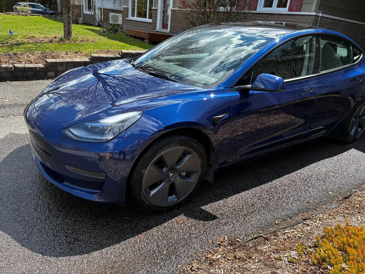 Tesla Model 3 photo Tesla Model 3