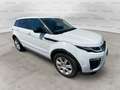 Land Rover Range Rover Evoque 2.0 TD4 150 CV 5p. SE Dynamic Automatica Bianco - thumbnail 3