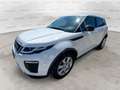 Land Rover Range Rover Evoque 2.0 TD4 150 CV 5p. SE Dynamic Automatica Bianco - thumbnail 12