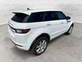 Land Rover Range Rover Evoque 2.0 TD4 150 CV 5p. SE Dynamic Automatica Bianco - thumbnail 6