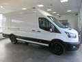 Ford Transit Kasten 350 L4 Trend Wit - thumbnail 4