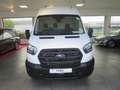Ford Transit Kasten 350 L4 Trend Wit - thumbnail 2
