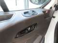 Ford Transit Kasten 350 L4 Trend Wit - thumbnail 12
