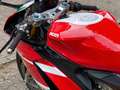 Ducati Panigale V2 Troy Bayliss * 20th Anniversay * Kırmızı - thumbnail 13