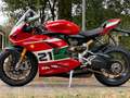 Ducati Panigale V2 Troy Bayliss * 20th Anniversay * Červená - thumbnail 9