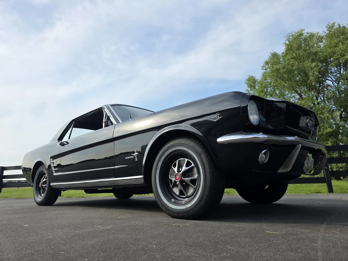 Ford Mustang Tasca 289 Negru - 1