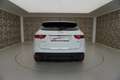 Jaguar F-Pace 25d AWD R Sport Weiß - thumbnail 6