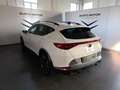 CUPRA Formentor 1.4 e-Hybrid 204CV DSG Bianco - thumbnail 4