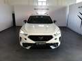 CUPRA Formentor 1.4 e-Hybrid 204CV DSG Bianco - thumbnail 2