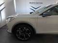 CUPRA Formentor 1.4 e-Hybrid 204CV DSG Bianco - thumbnail 7