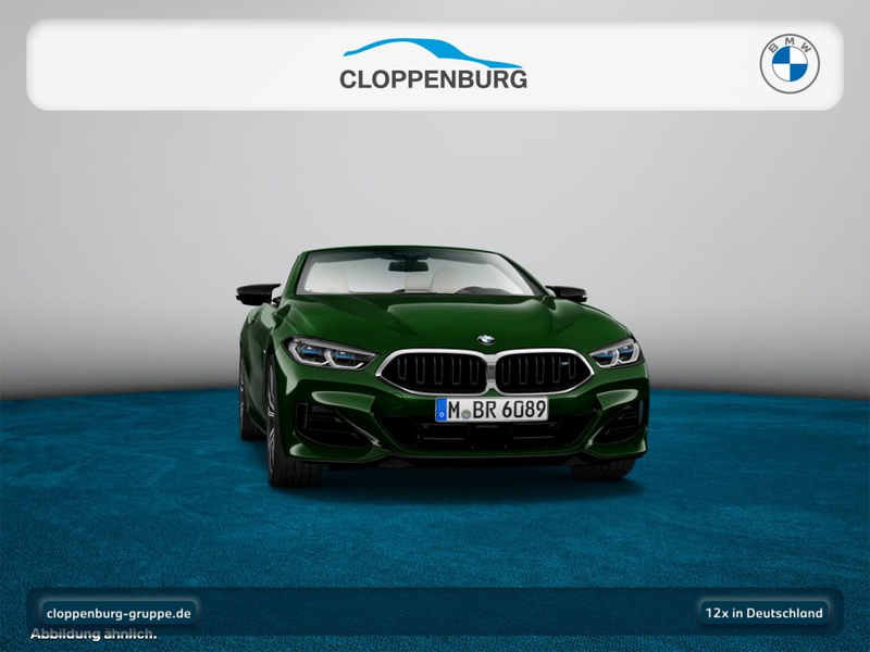BMW M850 i xDrive — photo 11
