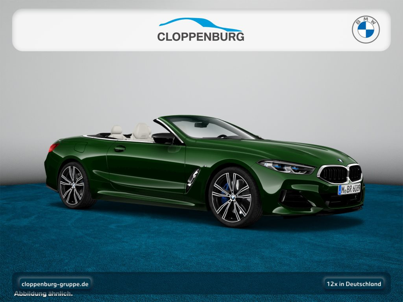 BMW M850 i xDrive — photo 10