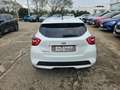 Nissan Micra 0.9 IG-T 12V 5p. Tekna Bianco - thumbnail 7