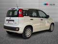 Fiat Panda III 2024 1.0 firefly hybrid s&s 70cv 5p.ti Wit - thumbnail 3