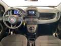 Fiat Panda III 2024 1.0 firefly hybrid s&s 70cv 5p.ti Wit - thumbnail 11