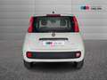 Fiat Panda III 2024 1.0 firefly hybrid s&s 70cv 5p.ti Wit - thumbnail 4