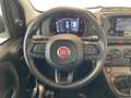 Fiat Panda III 2024 1.0 firefly hybrid s&s 70cv 5p.ti Wit - thumbnail 10