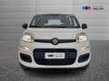 Fiat Panda III 2024 1.0 firefly hybrid s&s 70cv 5p.ti Wit - thumbnail 2