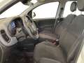 Fiat Panda III 2024 1.0 firefly hybrid s&s 70cv 5p.ti Wit - thumbnail 9