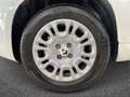 Fiat Panda III 2024 1.0 firefly hybrid s&s 70cv 5p.ti Wit - thumbnail 6