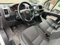 Fiat Ducato Maxi 3.0JTD *Pritsche-Plane-Schalfkabine* Weiß - thumbnail 12