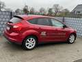 Ford Focus Lim. Titanium *Scheckheft gepflegt* Rouge - thumbnail 12