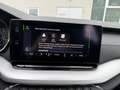 Skoda Octavia Combi Clever 1.5TSI DSG 4xSHZ Massagesitz Argento - thumbnail 19